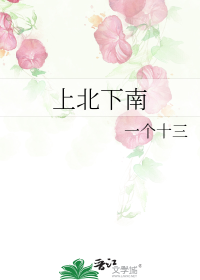 上北下南
