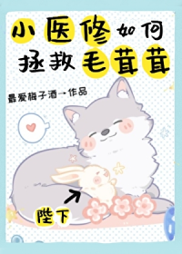 小医修如何拯救毛茸茸